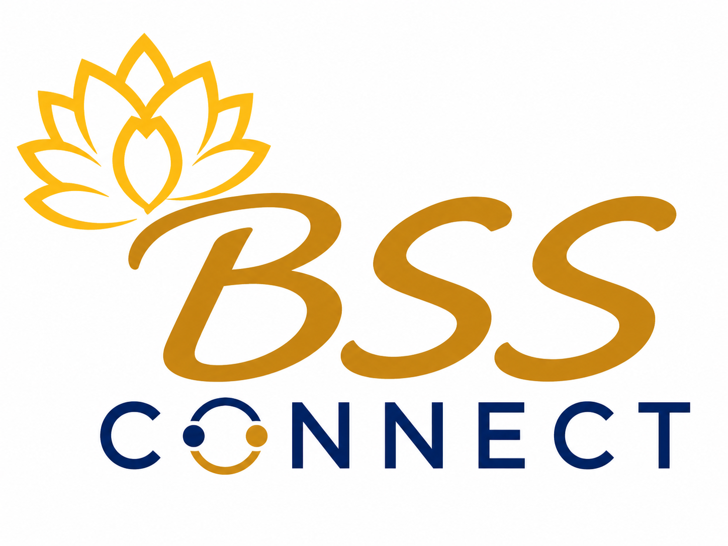 BSS Connect
